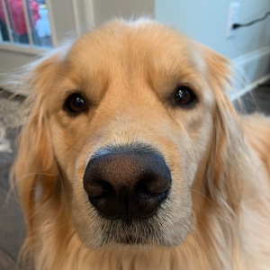 Fundraising Page: Shelly LeBlanc